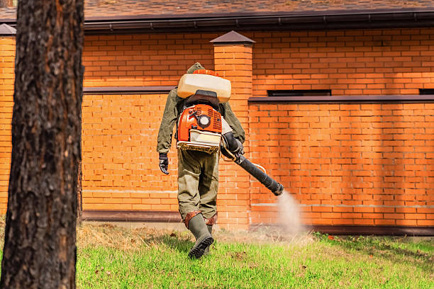 Bed Bug Clearance Verification and Documentation in Olga
